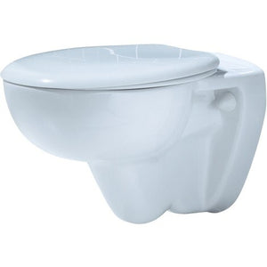 Dream Commercial Wall Hung Toilet