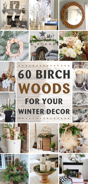 60 Easy Ways to Use Birch Woods for Your Winter Decor